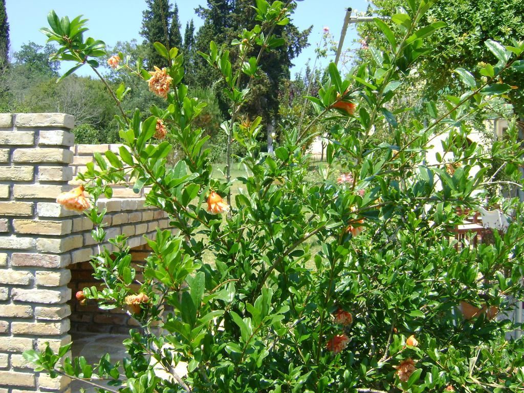Scorpios Apartments Dassia  Dış mekan fotoğraf