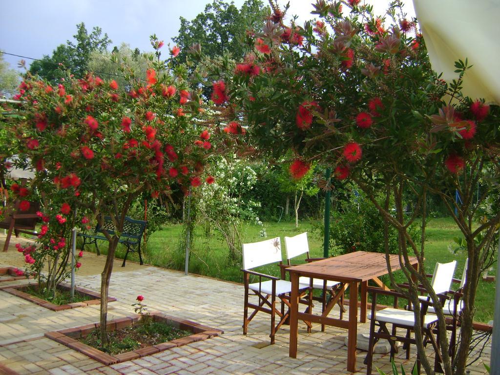 Scorpios Apartments Dassia  Dış mekan fotoğraf