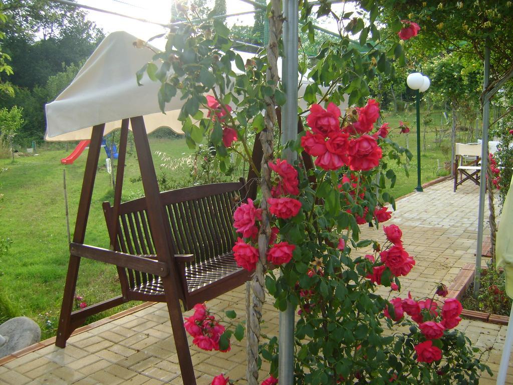 Scorpios Apartments Dassia  Dış mekan fotoğraf